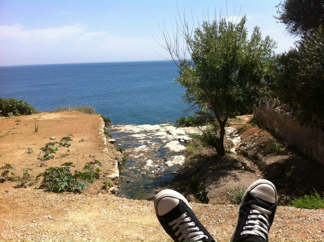 Александр Гизбрехт | Köln