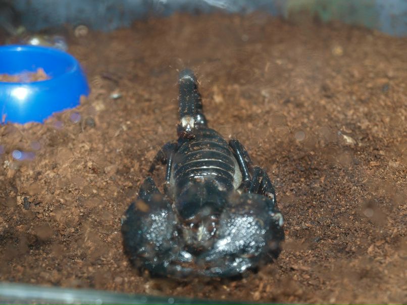 Резеда Сафиуллина | Казань