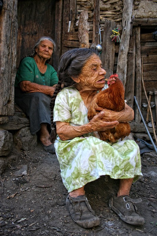 Анастасия Шапаренко | 