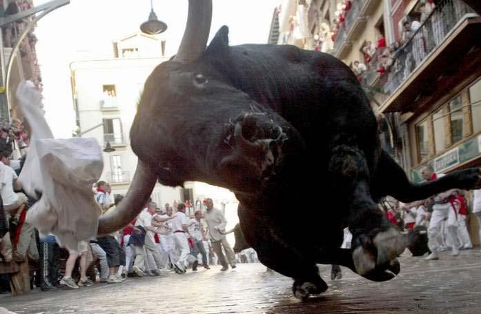 Эльгиз Мирзахалов | Химки