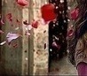 №85, Диана Герич, Черновцы №85, Диана Герич, Черновцы