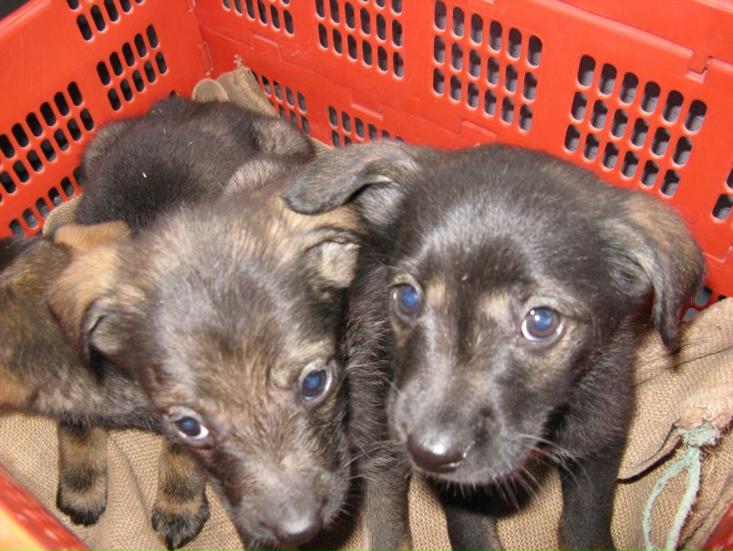 №67, Денис Юрченко, Днепр (Днепропетровск) №67, Денис Юрченко, Днепр (Днепропетровск)