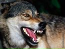Фотография Костик Евтушок