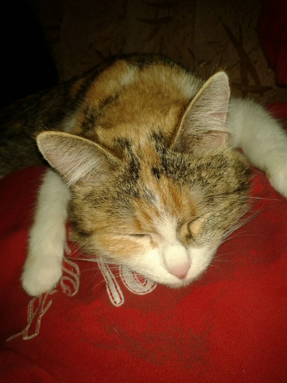 Бибигуль Кажгалиева | Талдыкорган