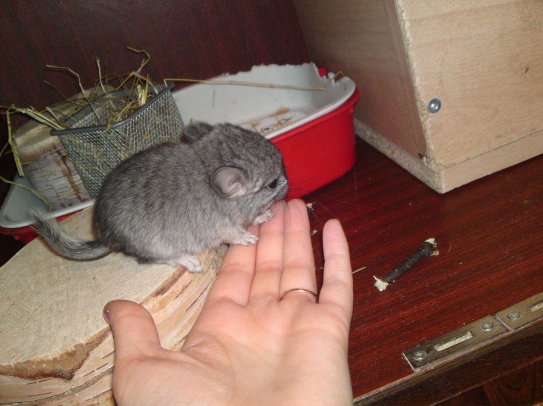 Ольга Третьякова | Архангельск