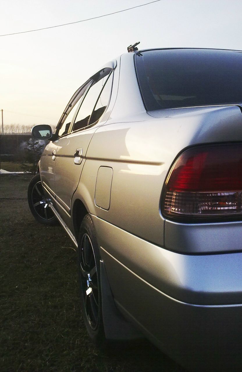 Миша Шкарупелов | Новосибирск