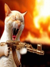 Анастасия Федорова | Ярославль