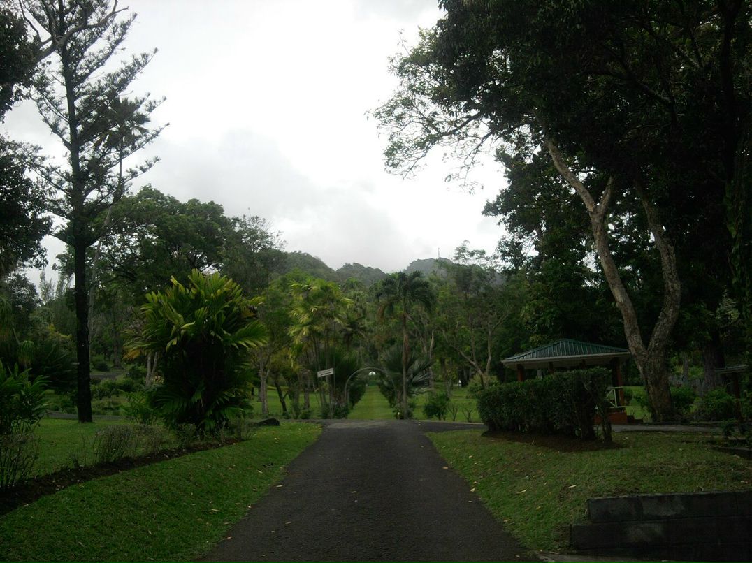 Анна Бигун | Киев