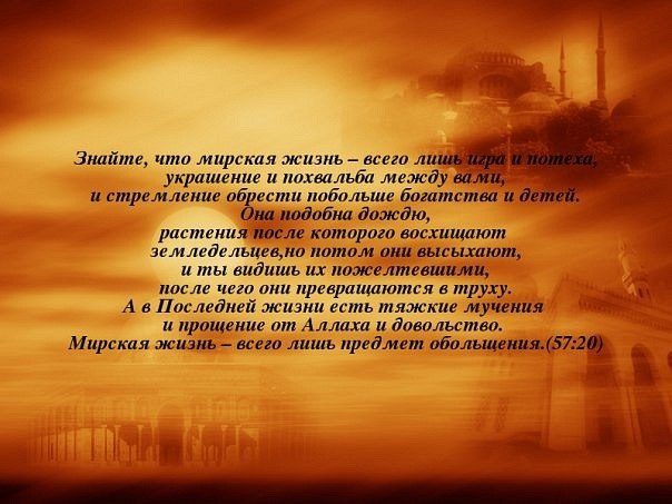 Мухаммад Щоджэн | 