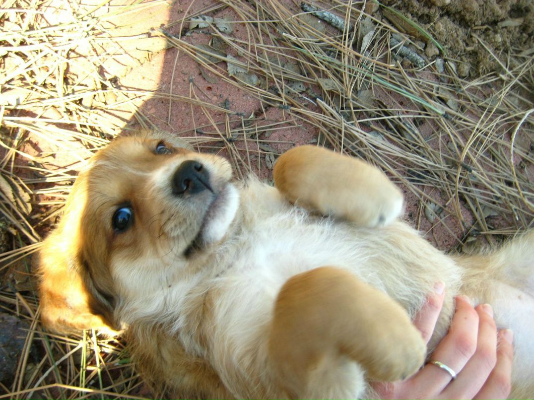 Аня Крылова | Santa Fe