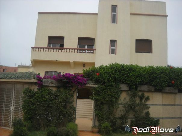 №24, Anas Anasovich, Casablanca №24, Anas Anasovich, Casablanca