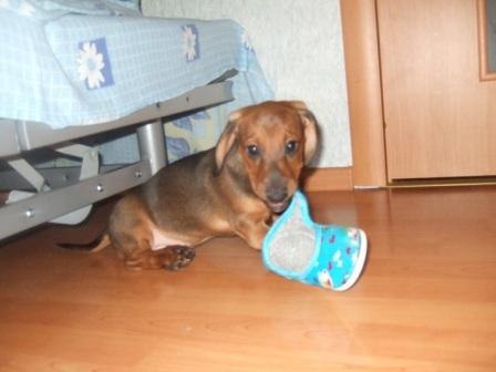 Наталья Малярова | Санкт-Петербург