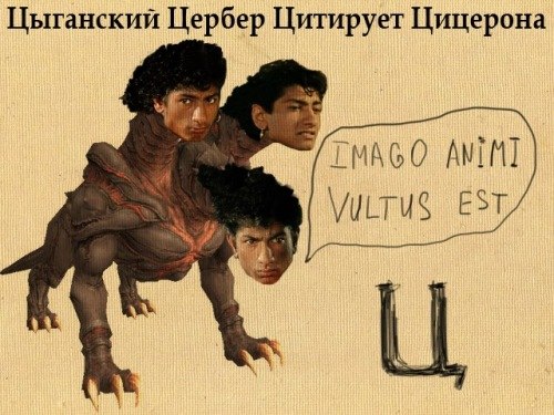 Иван Шаталов | Санкт-Петербург
