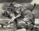 Фотография Егорова Николая