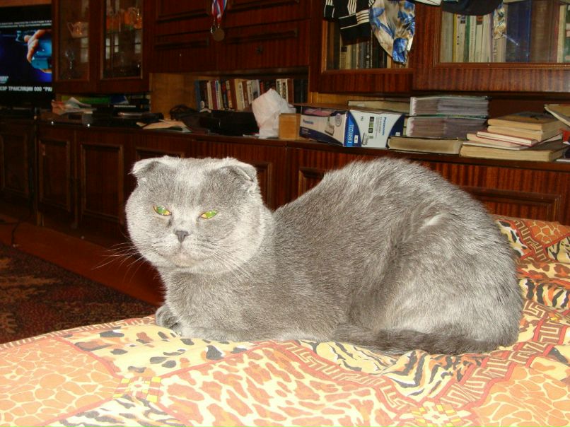 Александр Шараховский | Петрозаводск