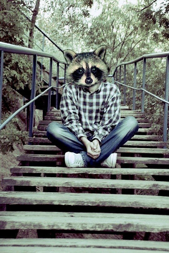 Tim Vienko enot_mel | Желтые Воды