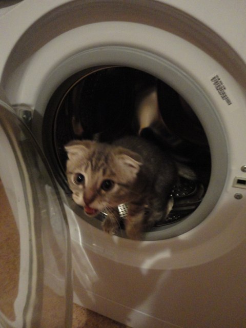 Юлия Серикова | Воронеж