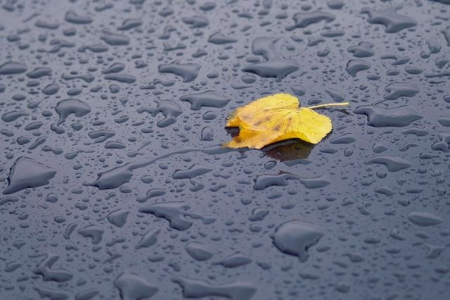 Костя Дікальчук | 