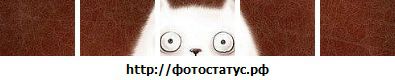 №25 Элеонора Яшуркаева : профиль, фото, статус - ВКонтакте №25 Элеонора Яшуркаева : профиль, фото, статус - ВКонтакте