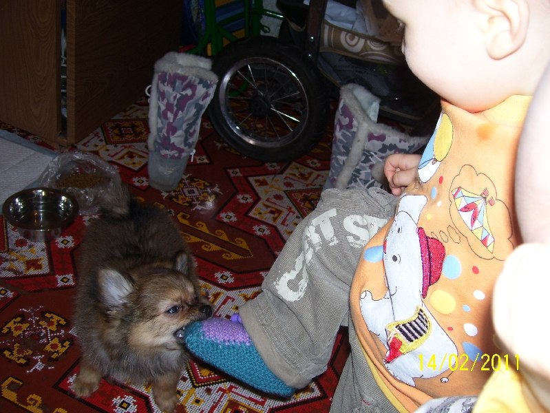 Артем Автондилов | Санкт-Петербург