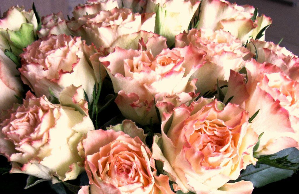 Милена Куршина | Клайпеда