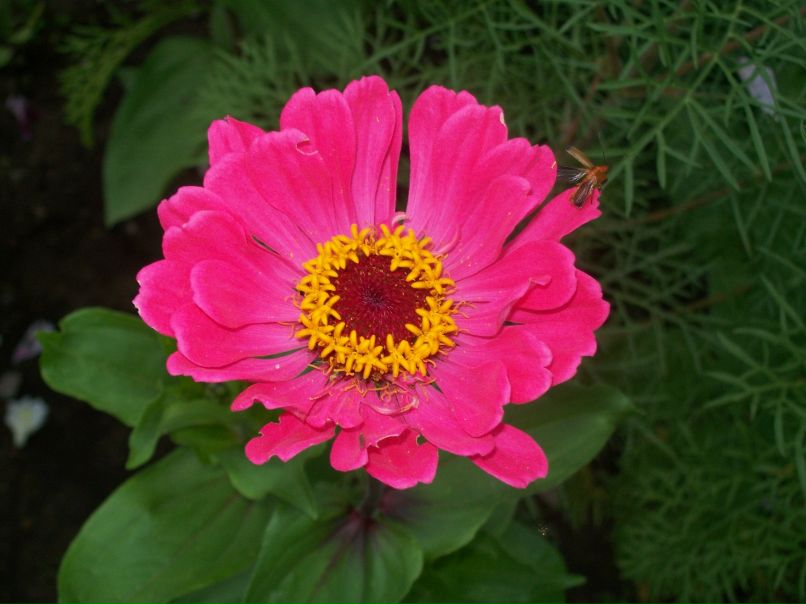 Андрей Жуков | Великий Новгород