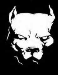 №48, Сёма Бобриков, Владимир №48, Сёма Бобриков, Владимир