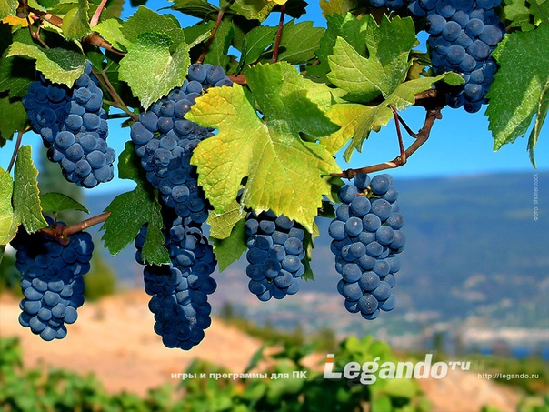 №33, Таня Вигулярная, Днепр (Днепропетровск) №33, Таня Вигулярная, Днепр (Днепропетровск)