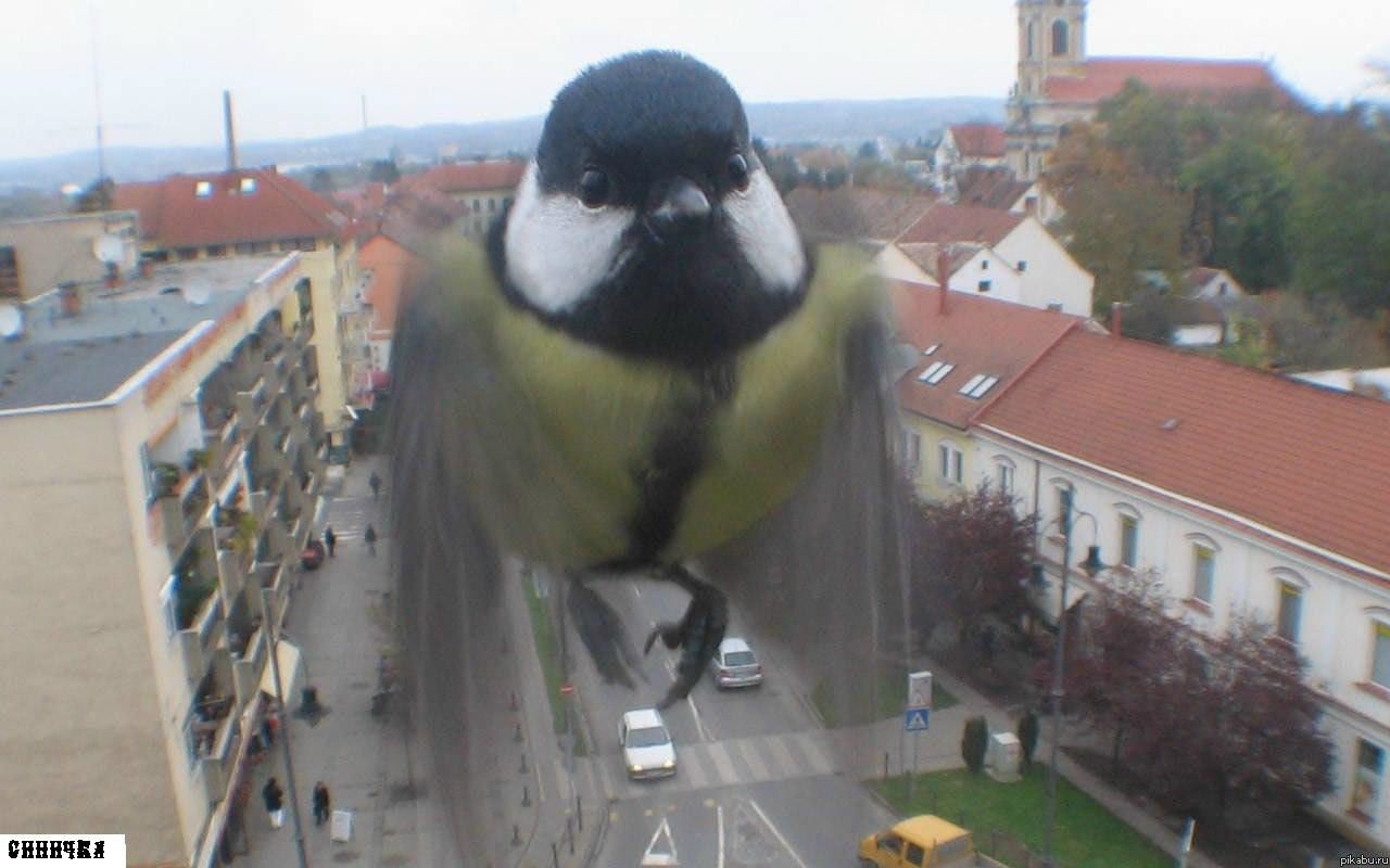 Андрей Греков Ανδρέας | 