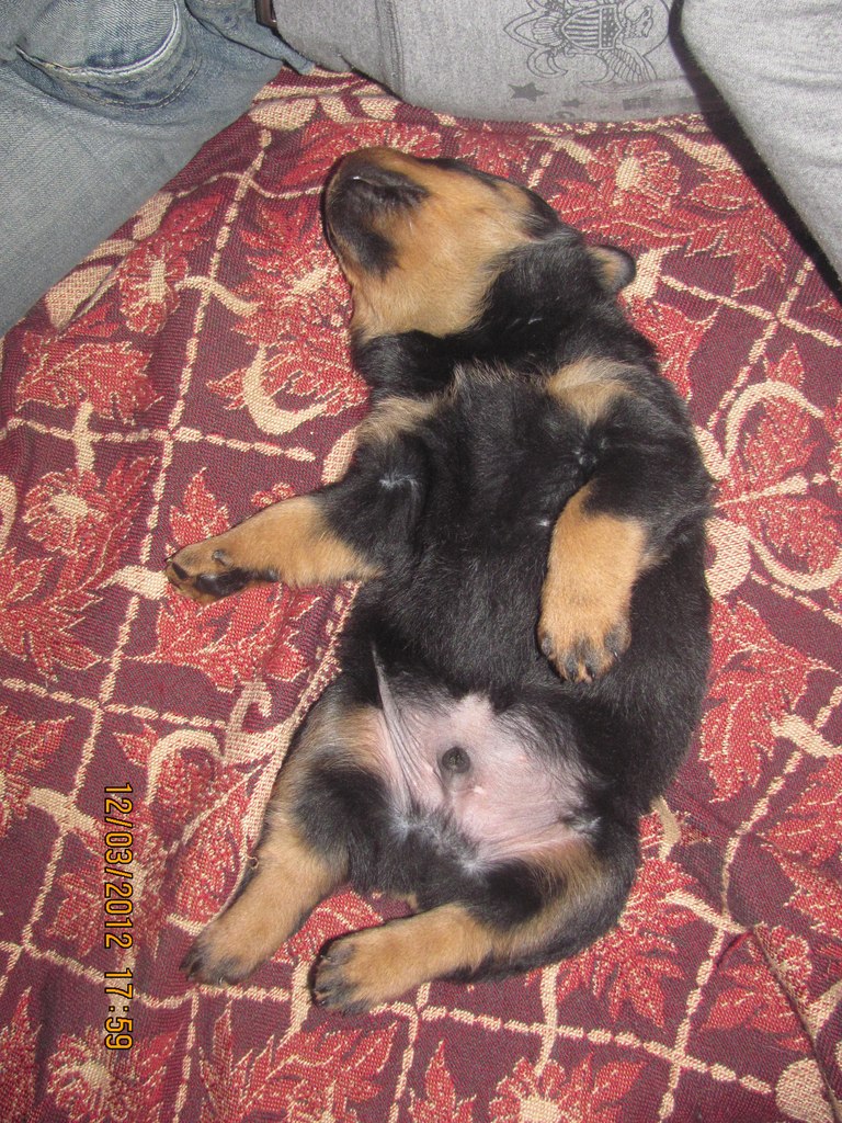 Алёна Лаврецкая ❖ ЭGOИSTKA❖ | Москва