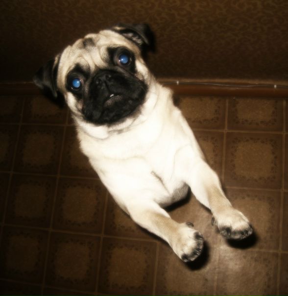 №160, Миха Щукин, 5.6 №160, Миха Щукин, 5.6