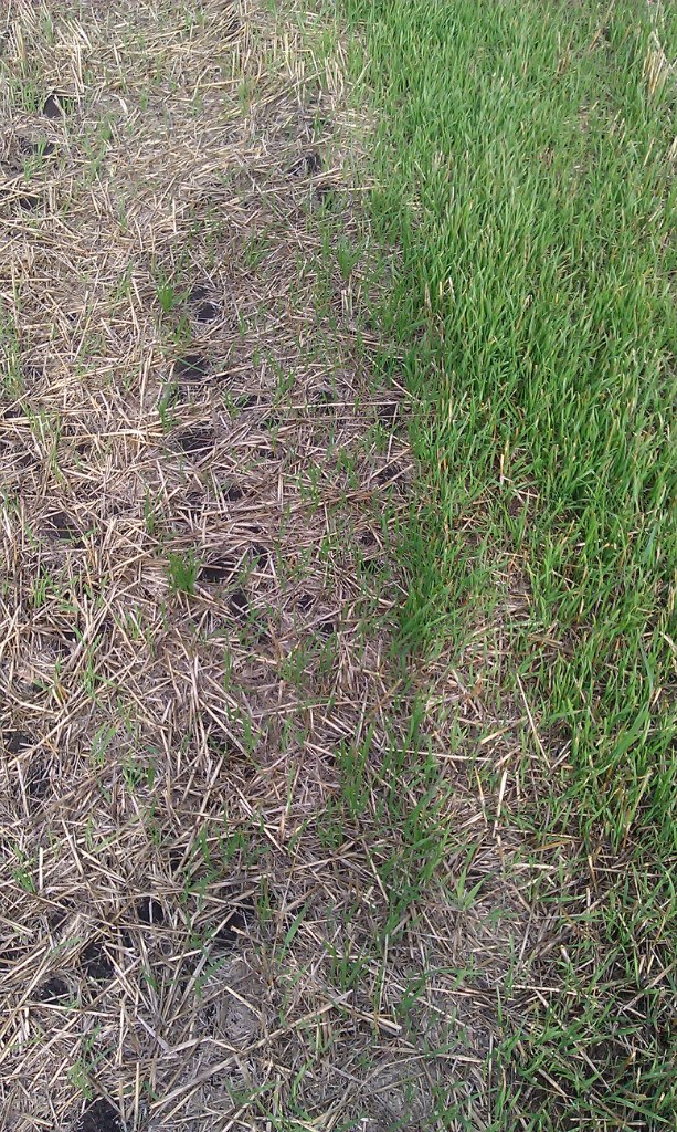 Гв Палкин | Урюпинск