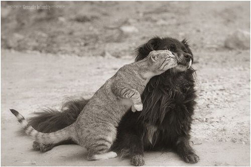 Лена Красина 