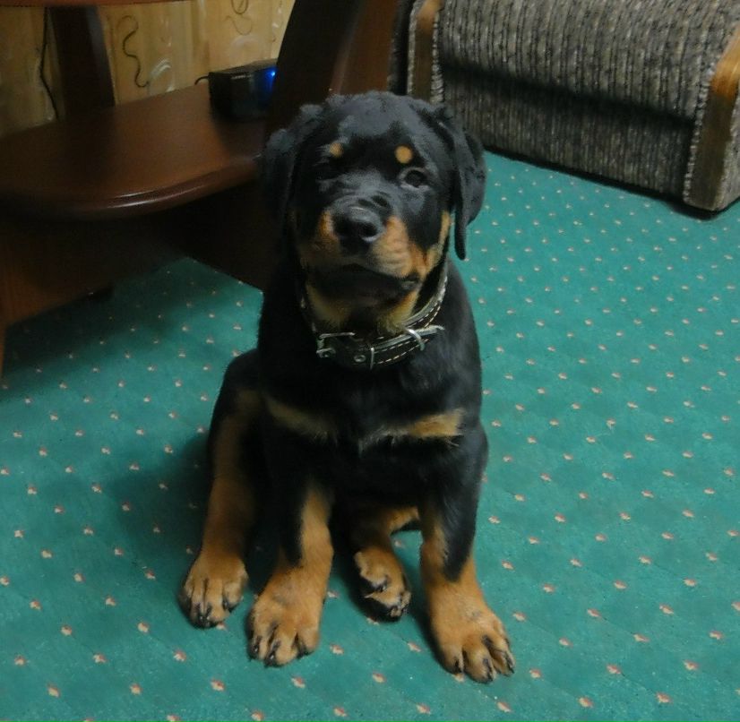 Анатолий Иванов | Barcelona