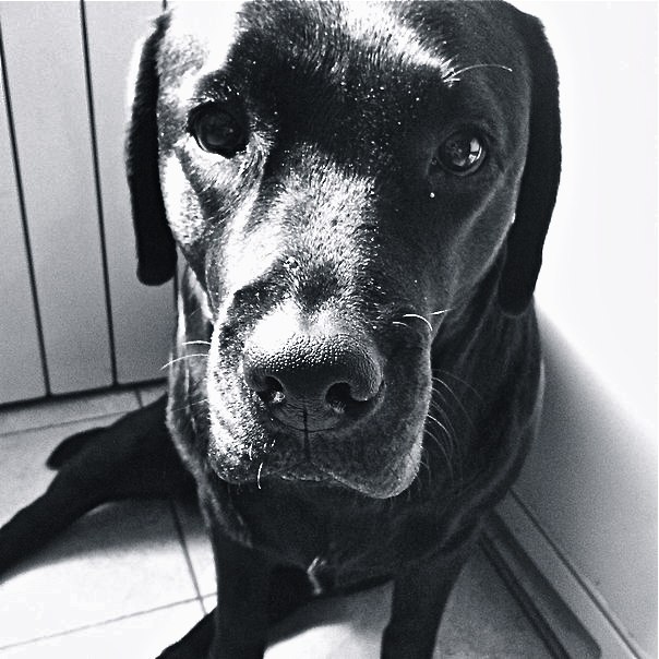 Мистер Голова-Борода Большая | Москва