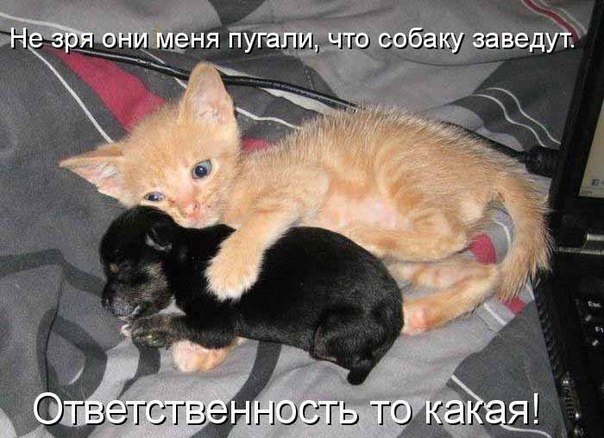 Екатерина Калугина | 