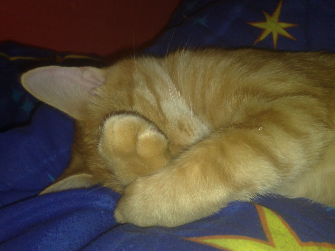 Ольга Заглада | 