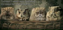№8 Надежда Кудрявцева 05.09: профиль, фото, статус - ВКонтакте №8 Надежда Кудрявцева 05.09: профиль, фото, статус - ВКонтакте