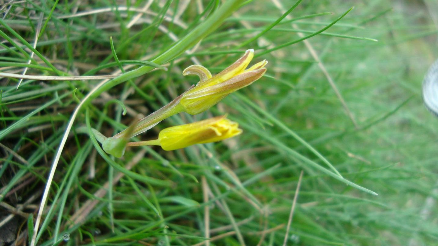 Александр Пархоменко ParHome | Симферополь