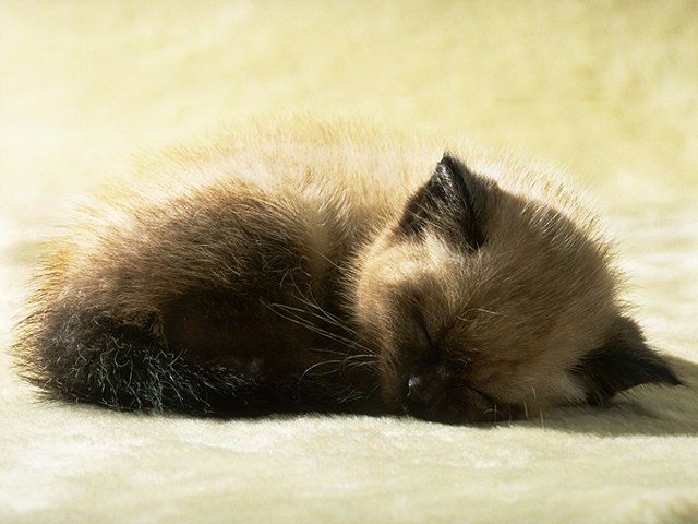 Настя Растя | Гродно