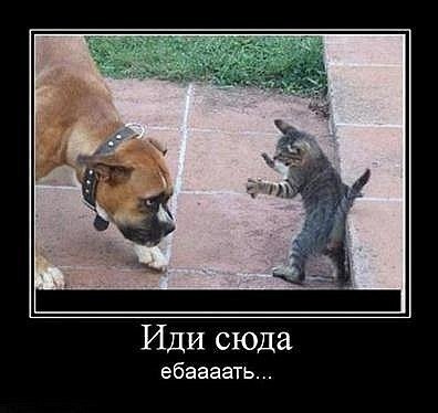 Женька Горбунов | Северск