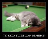 Фотография Наталья Лопатько
