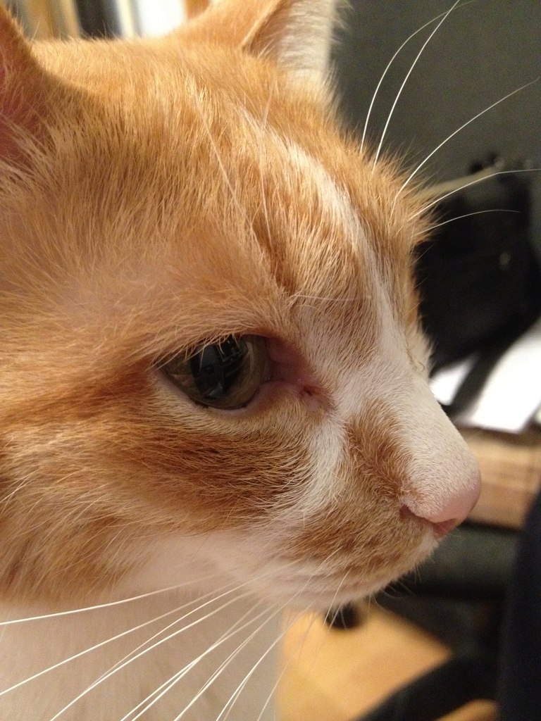 Владимир Гончаров | Красногорск