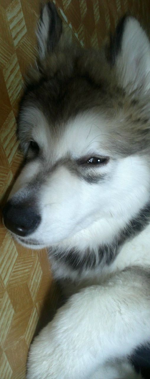 Всеволод Хайдаров | Санкт-Петербург