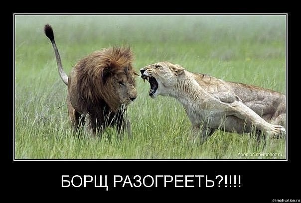 Алёна Орлова ♌ | 