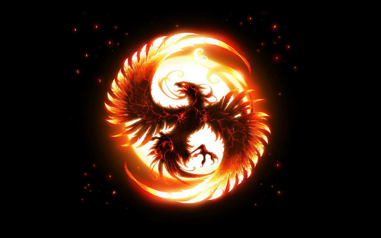 Дмитрий Надижко Анатольевич | Киев