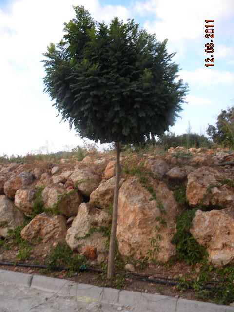 Светлана Филонова | Москва