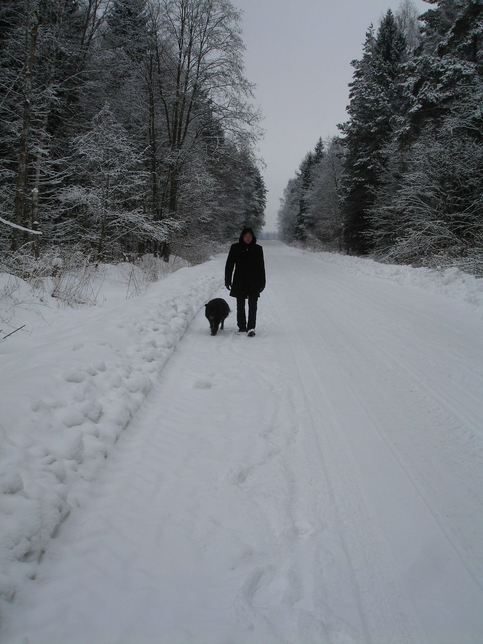 Михаил Щербатых | Тверь