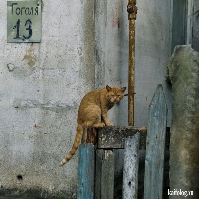 Maykovskiy Sexkott-Alex MALiB | Santiago de Cuba