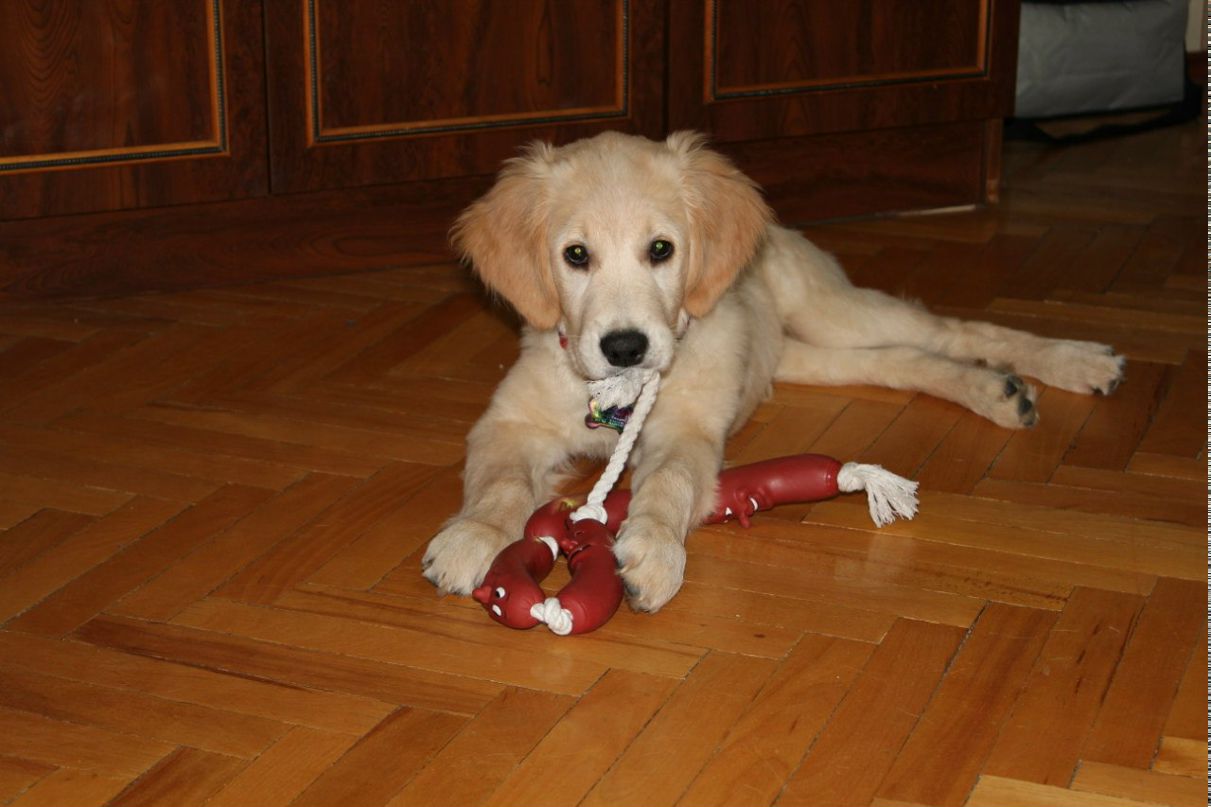 Александра Гладкобородова | Москва